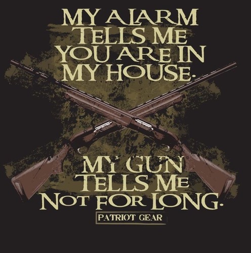 I will become an outlaw before handing my guns to my goverment.