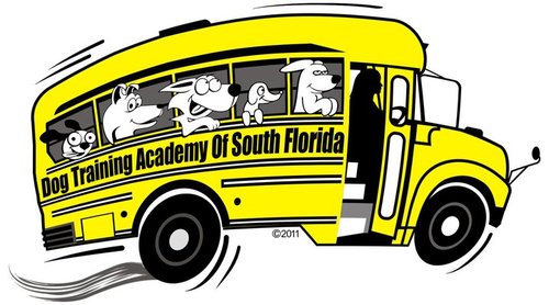 Dog Training Academy of South Florida