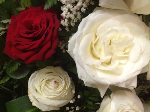 an12r's profile picture. 