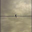 OLIVIA jansen - @OLIVIAjansen1 - Twitter