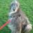 Sara_L_Ramsey's profile image