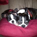 Wayne McCullough - @1wmccullough - Twitter