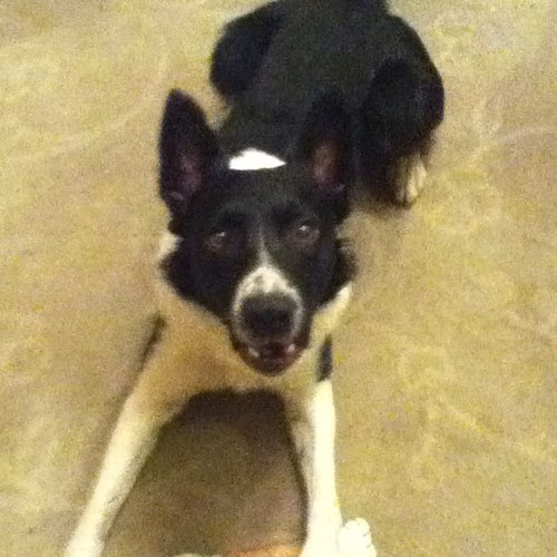 ReesJenna's profile picture. 