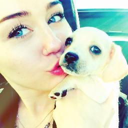 This is a fan twitter for @mileycyrus's animals. We love animals! Happy, Lila, Floyd, Mate, Mary Jane, Bean, Emu, Milky and Pig❤