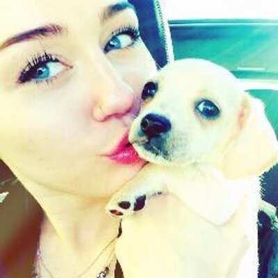 Profile Picture of Miley's Dogs  ❤ (@MileyHappyFloyd) on Twitter