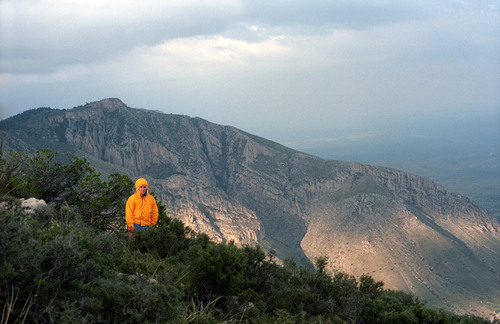 Eric Gagné Profile