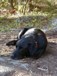 nuwillie's profile picture. 