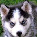 mario amaral - @celio_amaral - Twitter