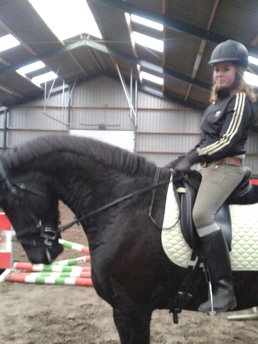 mtmboomars's profile picture. 3