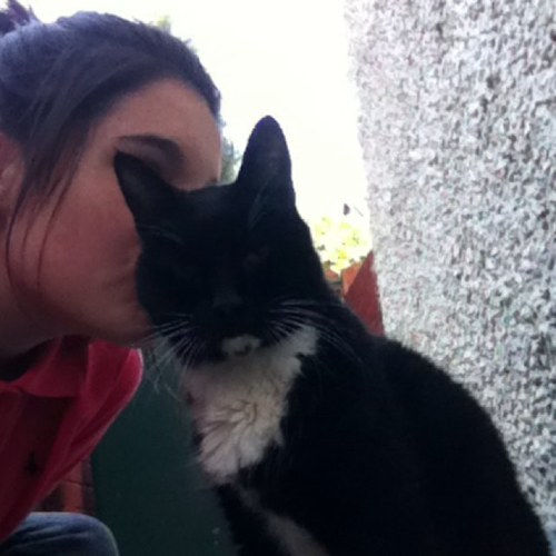 kiely_horan's profile picture. I'm a typical teenager, have regular tantrums, throw random strops, get annoyed over the smallest thinggs, can get upset pretty easy,ooh and I'm from scotland!