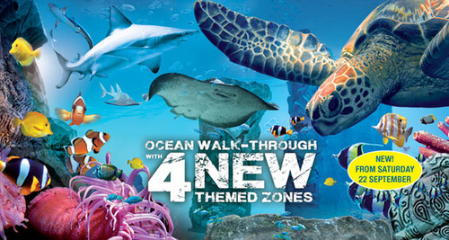 UnderWater World is Queensland's largest aquarium  You will come face to face with tropical fish, sharks, rays & other amazing creatures. Come Sea for yourself!