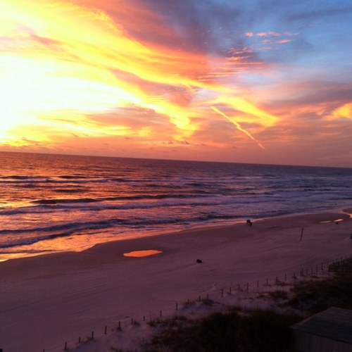 ShamraAnn's profile picture. 