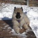 Lee Wunsch - @LeesBookkeeping - Twitter