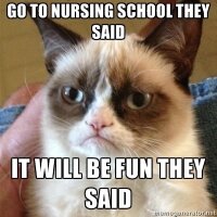 life of a CNA(@studentRN_CNA) 's Twitter Profile Photo