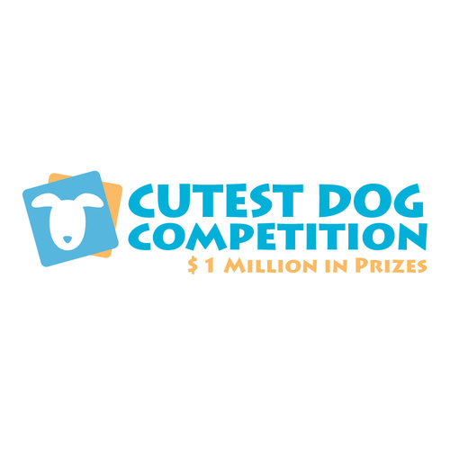 Upload a picture of your dog for a chace to win a million bucks! Presented All American Pet Brands.