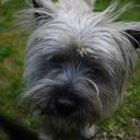 Alan Milroy - @milroy21 - Twitter