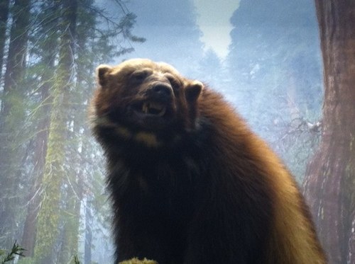 bdw419's profile picture. 