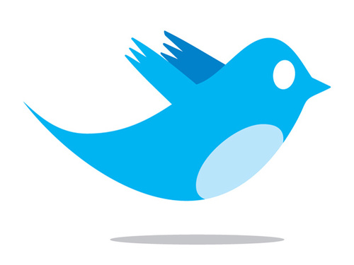 follow me for more followers and i always follow back