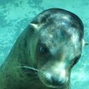 Harold OBrien - @52jersey - Twitter