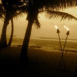 SocialMediaOnTV's profile picture. WHEN YOU WORK FOR A CAUSE YOU ARE THE EFFECT