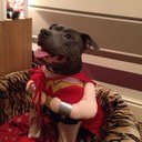 adam pickering - @adam_pickering - Twitter