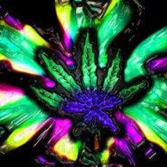 DatStoner420's profile picture. #CertifiedStoner #Blunts #Papers #Bowls #Bongs  #Vaporizers #StonerNation #Peace #Music Weed is my religion. Just a kid with a blunt.