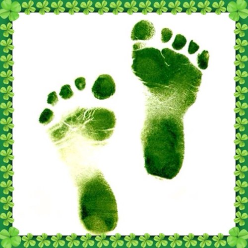 BabyGrowGreen's profile picture. 