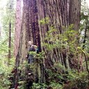 Kyle Crossman - @b4imold - Twitter