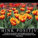 norma dunham - @NormaNjd43 - Twitter