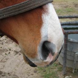 mbeychok's profile picture. 