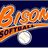 bgsoftball's profile image