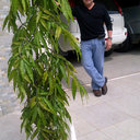 Hernán Escobar - @hescobar123 - Twitter