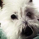 Aaron Scully - @ACScully - Twitter