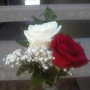 Echo Young - @ETMQY - Twitter