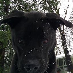 DennisMarwood's profile picture. 