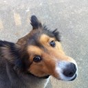 kelly hearn - @kellyannark - Twitter