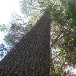 Conservation, preservation, education, sustainability.