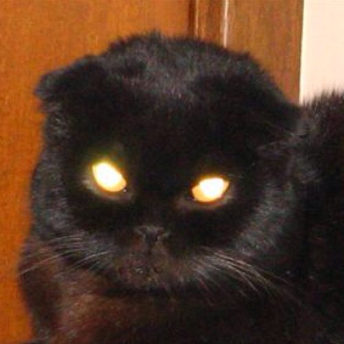 Web designer. Computer tech. Like paranomal and mysteries.
