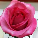 Phyllis Hope - @HopePhyllis - Twitter