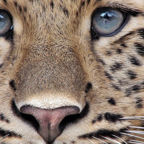 elmaton7788's profile picture. Soy el , Un anónimo mas en este gran océano de personas ... Y este un lugar para decir, lo que en algunos casos seria censurable