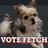 Vote4Fetch