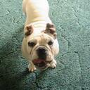 Terri Willis - @tkdmom65 - Twitter