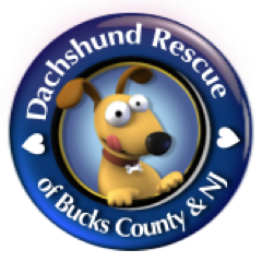 We rescue, shelter, foster and adopt dachshunds in the Delaware Valley of PA and NJ.