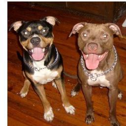 HopeCCasey's profile picture. 