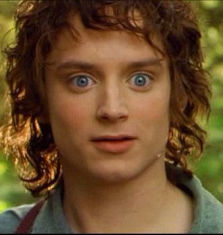 Frodo here, with all nine fingers. Oh, and also, I simply walked to Mordor. Check out my personal account @jacksonrporter.
