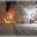 abdullh.al.sheeri (@050253025) Twitter