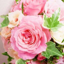 juntkun001's profile picture. こんにちは！相互フォロー100%です！お約束します。ただ、相互フォローが原則ですので、常にフォローをお願いします。 #相互フォロー #twitter #相互 #自動フォロー