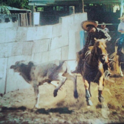 vida nomas hay una pa que vivir la de amargura /caballos , coleaderos , ranchero asta los codos , @_yaami ❤ ZACATECAS