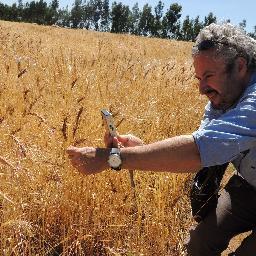 Passionate about sustainable food systems, respecting the environment and farmers around the world. Agrobiodiversity is the foundation of it.