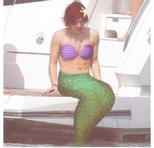 pauly_styles's profile picture. ❥I kissed @harry_styles and his lipd tasted like poster ❥ 0/5 follow☯